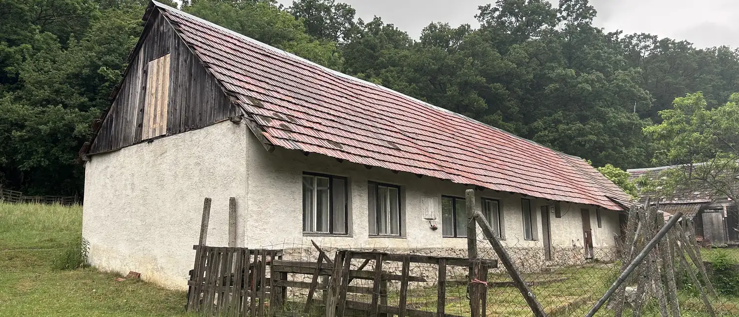 Starší vidiecky dom s pálenou krytinou pri lese — typický objekt odbornej obhliadky pred kúpou